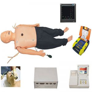 Senior multifunctional adult comprehensive first aid training simulator